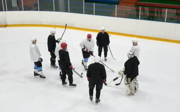 finsko kanada: A team of male ice hockey players gathers on the rink for practice,